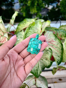 Mini Malachite Turtle