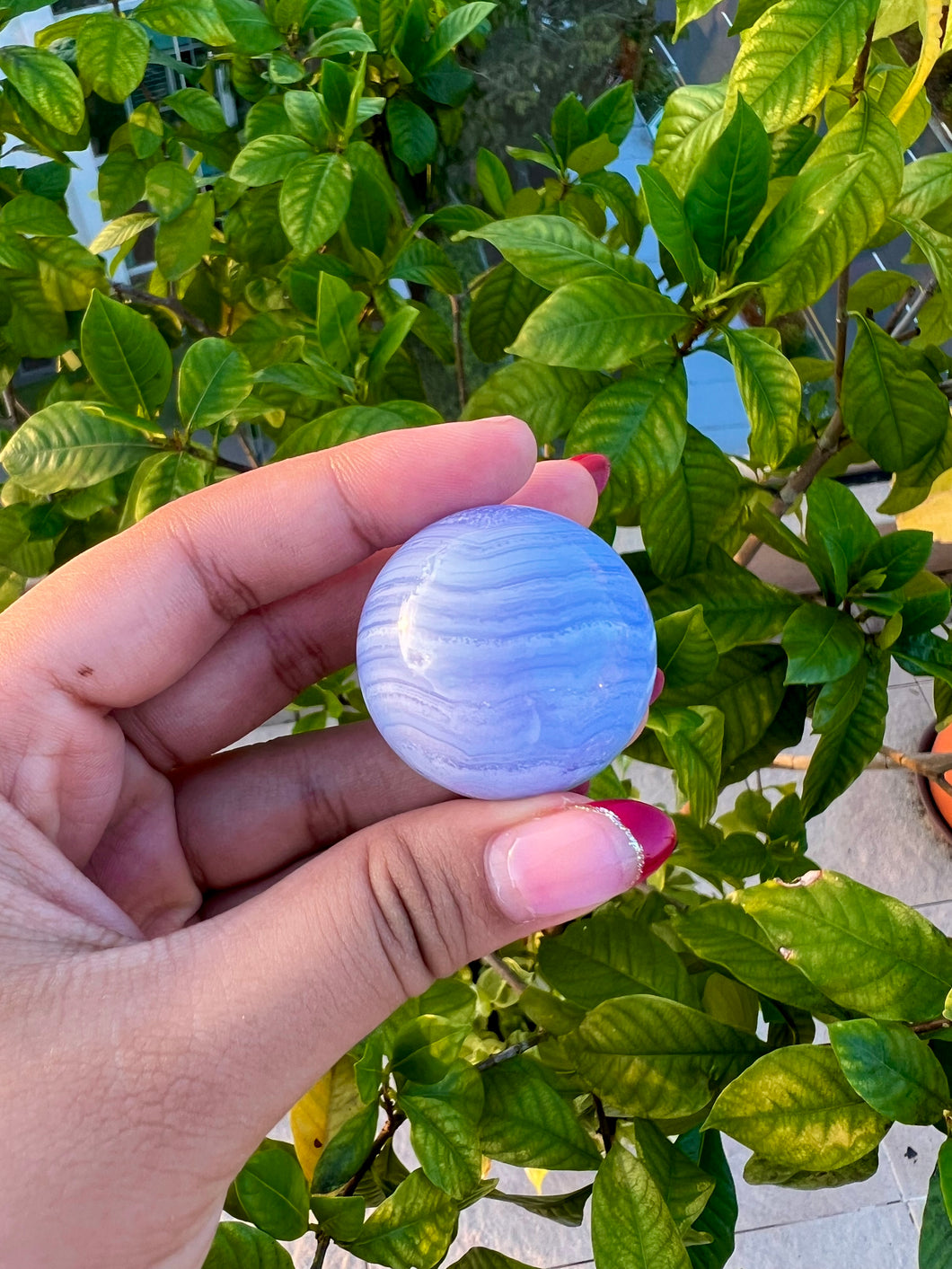 Blue Lace Agate Spheres