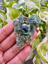 Load image into Gallery viewer, Rogerley Fluorite Specimens
