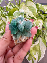 Load image into Gallery viewer, Rogerley Fluorite Specimens

