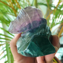 Load image into Gallery viewer, Chameleon Statement Rainbow Fluorite Carving - Astellora
